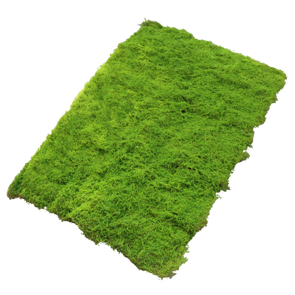 Preserved Moss Sheet - Искусственный газон из имитации мха, зеленая