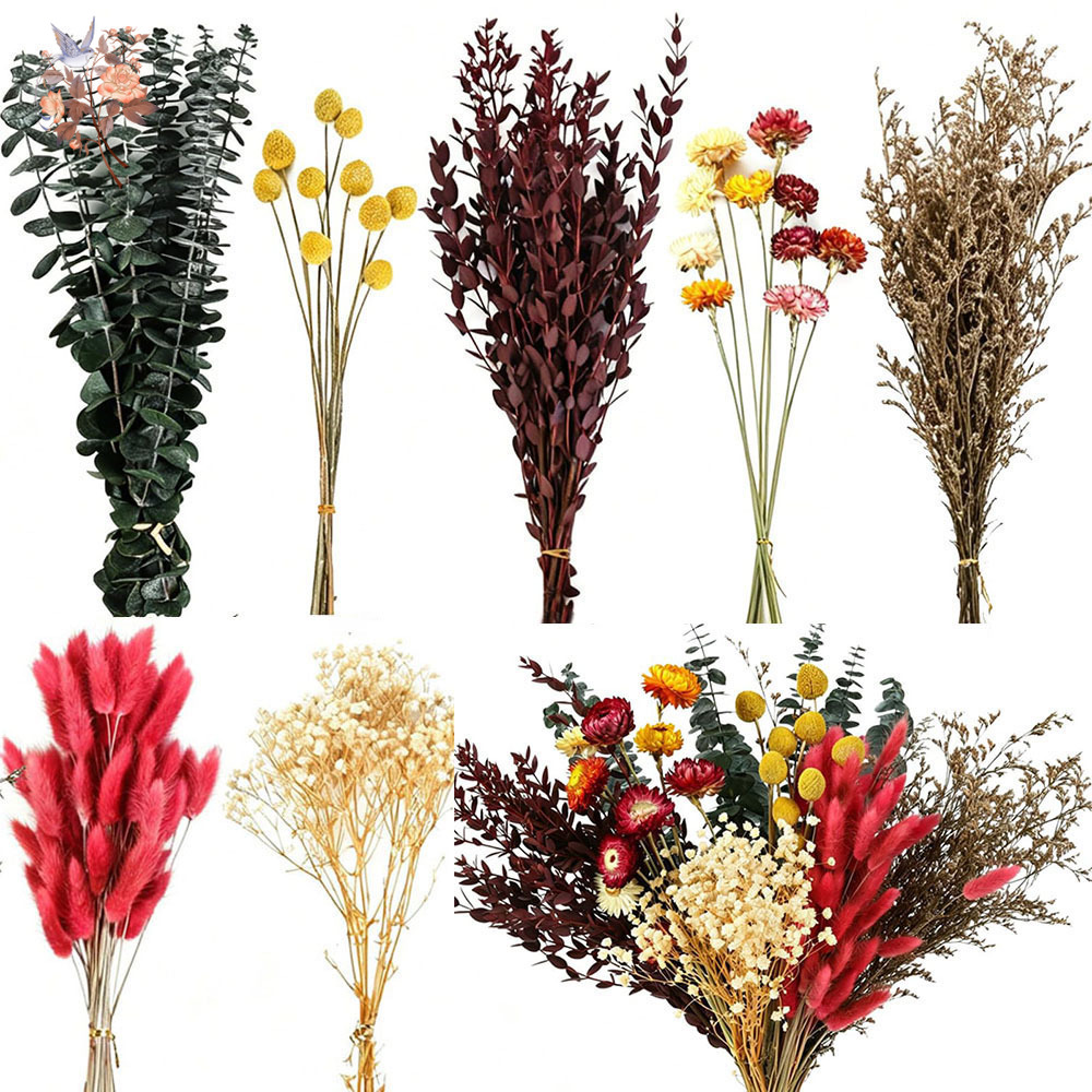 Набор сухоцветов оптом, 7 видо – обзор и цена Florist Supply Bulk