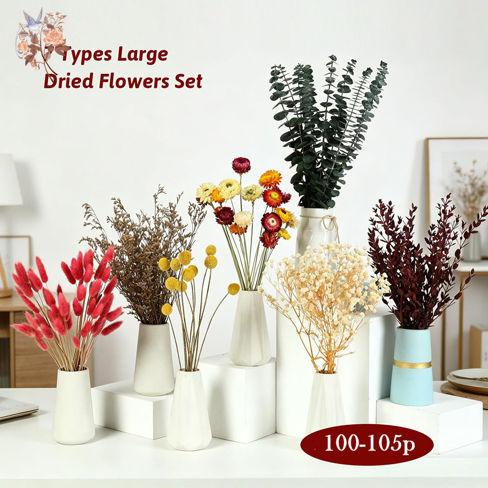 Набор сухоцветов оптом, 7 видо – обзор и цена Florist Supply Bulk