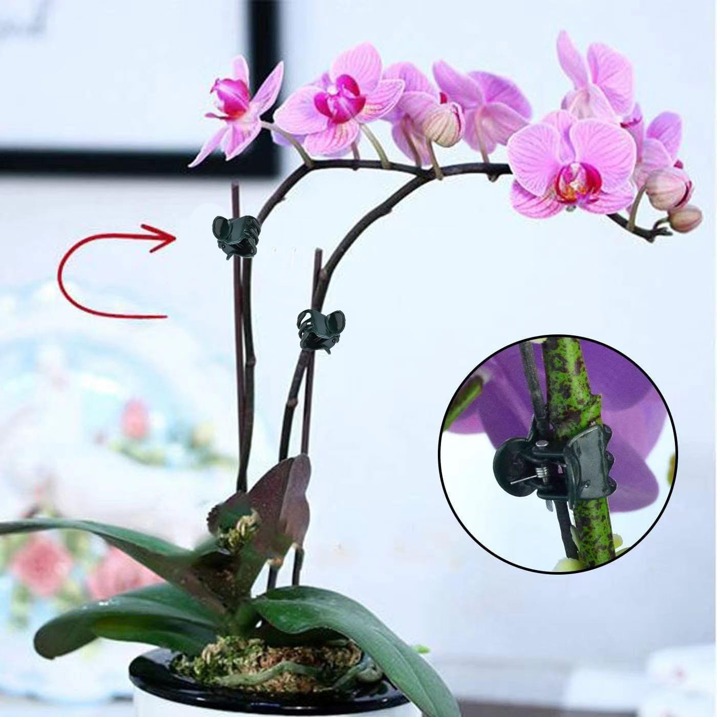Мини-клипсы для растений, 100  – обзор и цена Florist Supply Bulk