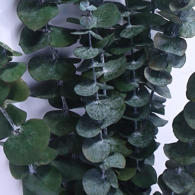 20 шт. консервированные для св – обзор и цена Eucalyptus Preserved