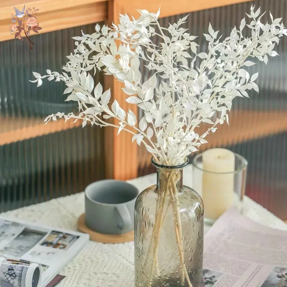 50 г Искусственные сухие цветы – обзор и цена Eucalyptus Preserved